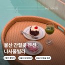 나사풀 | 울산 간절곶 펜션 추천 나사풀빌라 B1 가성비 내돈내산 후기 애견동반 숙소