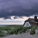 다라1천 이미지