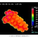 홍이농장 이미지