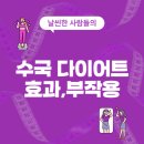 수국한의원 | 수국 다이어트 효과, 제품소개, 가격, 내돈내산후기 (1분정리)