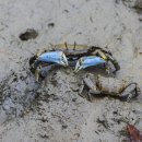 이로운바다 이미지