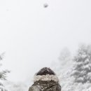 원대세탁소 | 롱패딩 세탁방법, 세탁소 가지 않고 세탁비 아끼는 방법 (세탁기, 건조기)