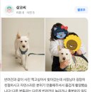 [안산사진관 리뷰] 상록수역 대표 안산스튜디오 홍차부부사진가게 방문자 리뷰, 늘 고맙습니다!