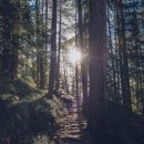 핸즈워시 이미지