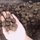 포항곤충농장 이미지