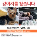 구월서초등학교 이미지