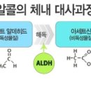 더케이짐 네이버블로그