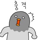광주아나고 이미지