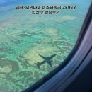 963 | 김해-오키나와 이스타항공 ZE963 임산부 탑승후기(feat. 사전 좌석지정 방법, 김해공항, 나하공항...