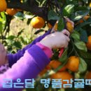 창우농장 이미지