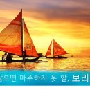 보라여행사 - 서구 둔산로 220 | 보라여행사
