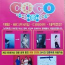 코코짐 이미지