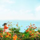 한길송정 | 부산 베이비스튜디오, 선택 망치는 3가지 착각 (꼭 알아두세요!)