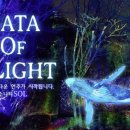 빛의 소나타 이미지