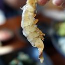 탐라새우 | 제주 올레시장 맛집 한식 탐라한상 부모님 극탄하신 갈치구이 한상 후기