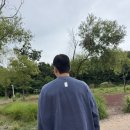 마요트레블 | 호주 워홀 막차 워킹홀리데이 시드니 첫날 해야 할 것 (+ 젯스타 후기 , YHA 센트럴 백패커스)