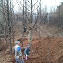 목화농원 이미지