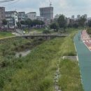 안녕한약국 이미지