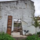 감나무목장 이미지