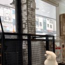 하이마이댕댕 이미지