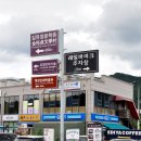 김유정문학마을 | “문학과 추억이 흐르는 길, 김유정 문학촌에서 하루를 걷다”