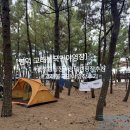 고래불일출마트펜션 | 경북 영덕 캠핑장 추천 고래불 국민야영장 후기