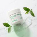 이니스프리 | 이니스프리 그린티 씨드 히알루론산 크림 솔직 후기