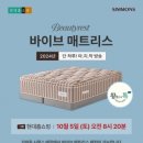 뷰티바이브