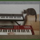 신창동 유적체험학습관 이미지