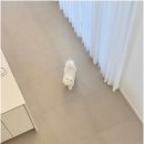 온화한가(온송) 이미지