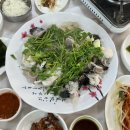 문덕카써비스 | 포항 창바우마을캠핑장 예약 팁, 7번 사이트 3박4일 연박 후기
