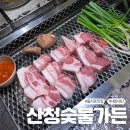 산청휴 | 내돈내산 을지로3가 맛집 &lt;산청숯불가든 을지로점&gt; 고깃집추천