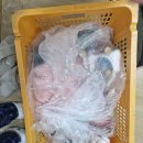대전이사후기) 새길익스프레스 본점 이용, 3군데 견적 비교후기