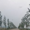 테마하우스민박 이미지