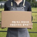 다온이상점 이미지