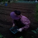 자명농장 이미지