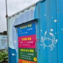 궁평항 입구 공중화장실 | 화성 궁평항 아이랑 망둥어 낚시체험 후기+ 주차·체험시간·푸드트럭 정보