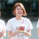 다미 이미지
