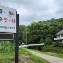 청아 해물찜 이미지