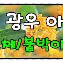 거제토탈인테리어