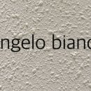 안젤로비안코 이미지