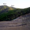 오동천 이미지
