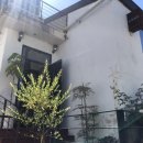 밤실짬뽕 이미지