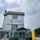 달구씨 이미지