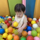 대도카종합센타 네이버블로그