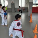 국가대표 탑 태권도장 이미지