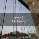 황금빗자루목포 이미지