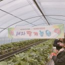 태자농장 이미지