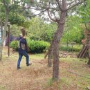 회진농장 이미지