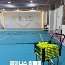 갈밭남로 | 대구 실내테니스장 추천 / 콩테니스 월배점 레슨후기(볼머신, 층고높은 코트)